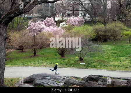 New York City, New York, Stati Uniti. 30th Mar, 2020. Un bambino ama il suo scooter nel Central Park di New York lunedì, marzo 30th. Oggi c'era un accenno di primavera in aria e le persone hanno cercato di sfruttare al meglio il parco centrale anche mentre nelle vicinanze del parco si stava costruendo un ospedale di emergenza in risposta alla pandemia del virus corona. Credito: Adam Stoltman/Alamy Live News Foto Stock