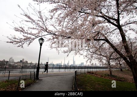 New York City, New York, Stati Uniti. 30th Mar, 2020. Una donna gode di una corsa nel Central Park di New York lunedì, marzo 30th. Oggi c'era un accenno di primavera in aria e le persone hanno cercato di sfruttare al meglio il parco centrale anche mentre nelle vicinanze del parco si stava costruendo un ospedale di emergenza in risposta alla pandemia del virus corona. Credito: Adam Stoltman/Alamy Live News Foto Stock