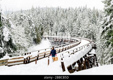 Una donna e il suo cane camminano attraverso una neve carica Kinsol Trestle vicino Shawnigan Lake, British Columbia. Foto Stock