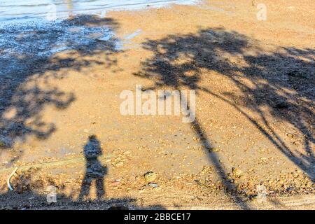Ombra selfie di sole donne fotografo e albero ombre sulla spiaggia soleggiata Foto Stock