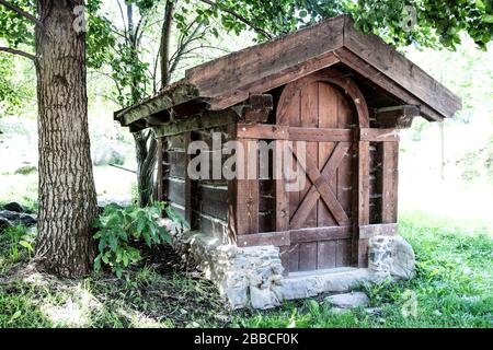 Piccolo cottage in legno sotto un albero. Capannone con ragnatele nella foresta. Foto Stock