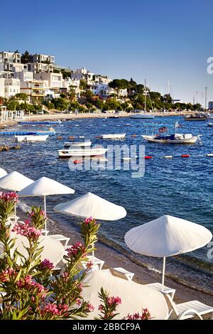 Bianchi ombrelloni e lettini vicino a laguna con barche sulla spiaggia di Bodrum, Turchia Foto Stock