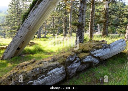 Vecchi polacchi di Haida a Skedans, conosciuti anche come Koona o Ḵ'uuna Llnagaay, Haida Gwaii, precedentemente noti come Queen Charlotte Islands, British Columbia, Canada Foto Stock