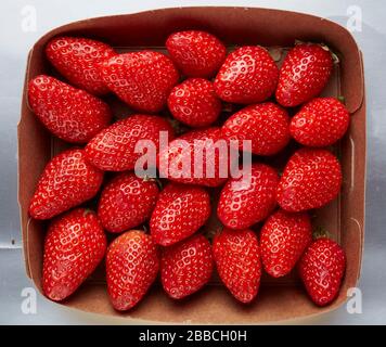 punnet fragole testa marrone cartone fresco frutta estiva succosa succosa porzione lavata pulita Foto Stock