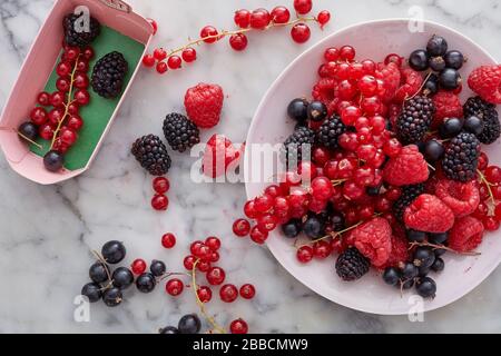 frutti rossi selezione frutti blu frutti rossi ribes bacche nere Foto Stock