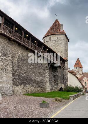 Città vecchia fortificazione medievale mura e torri di guardia, Tallinn, Estonia Foto Stock