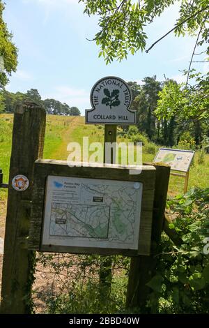 Una bacheca informativa e il simbolo del National Trust omega a Collard Hill, Somerset, Inghilterra, Regno Unito, FOTO SCATTATA DAL SENTIERO PUBBLICO Foto Stock