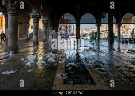 Venezia, Italia, la sala del mercato sul Ponte di Rialto in cui il pesce viene venduto e commercializzato Foto Stock