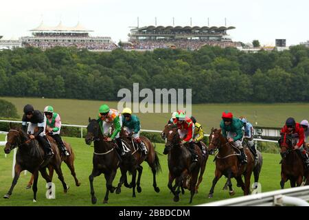 Il campo inizia il Betfred Mobile Lotto Stakes durante il giorno quattro del 2013 glorioso Goodwood Festival al Goodwood Racecourse Foto Stock