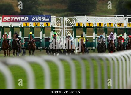 Il campo inizia il Betfred Mobile Lotto Stakes durante il giorno quattro del 2013 glorioso Goodwood Festival al Goodwood Racecourse Foto Stock