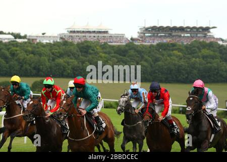 Il campo inizia il Betfred Mobile Lotto Stakes durante il giorno quattro del 2013 glorioso Goodwood Festival al Goodwood Racecourse Foto Stock