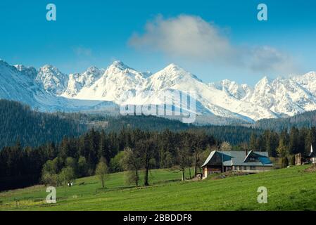 Tipici cottage in una valle montana di Tatra. Concetto di viaggio locale. Polonia, Tatra Foto Stock