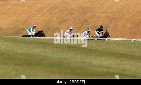 I cavalli corrono nell'handicap mobile lotto Betfred durante il quarto giorno del glorioso Festival Goodwood del 2013 all'ippodromo di Goodwood Foto Stock