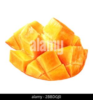 Mango frutta acquerello isolato su sfondo bianco Foto Stock