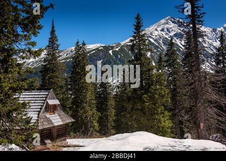 Chalet rimane nelle montagne innevate tra la foresta di conifere, Polonia, Tatra Foto Stock