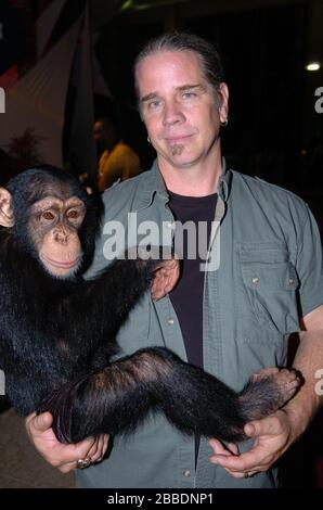 MIAMI BEACH, FL - 30 APRILE: (COPERTURA ESCLUSIVA) dalla serie TV di successo Netflix Bhagavan 'DOC' Antle possiede l'Istituto per le specie fortemente minacciate e rare, (T.I.G.E.R.S.) di Myrtle Beach, South Carolina visto qui nel 2004 in un'immagine rara con le bolle il Chimp a Miami Beach, Florida People: Bhagavan 'doc' Antle Credit: Storms Media Group/Alamy Live News Foto Stock