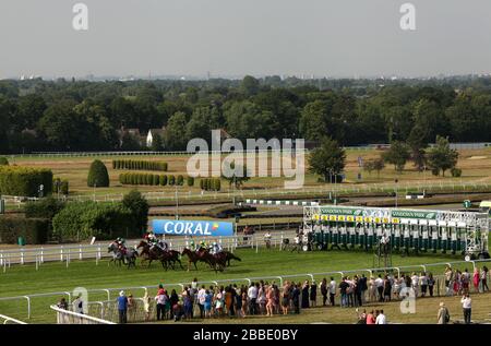 Il campo inizia il Travis Live su 24th luglio handicap Stake durante il Coral-Eclipse Summer Festival Ladies' Day al Sandown Park Racecourse Foto Stock