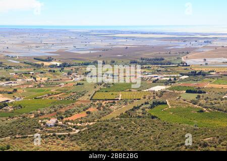 Ebro delta, con campi di riso allagati a Terres de l'Ebre in Catalogna, Spagna Foto Stock