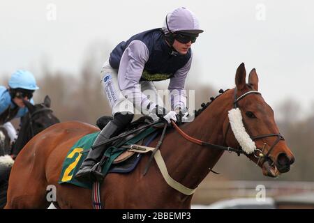 Fine pergamena guidata dal signor H A un Bannister in azione nel Prince Carlton handicap Chase (per la Prince Carlton Challenge Cup) Foto Stock