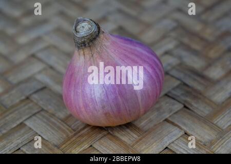 Ritratto di una cipolla fresca e di medie dimensioni di colore rosso chiaro su un tappeto di legno Foto Stock