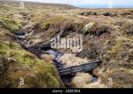 Bloccare burrone usando dighe di legno che impediscono l'erosione del moor. Parte dei lavori di restauro su Kinder Scout, Derbyshire, Peak District, Inghilterra, Regno Unito Foto Stock