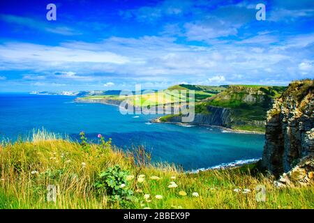 Una bella passeggiata mattutina verso la fine di luglio intorno al valore Matravers nel Dorset sud ovest Inghilterra lungo le scogliere della costa Jurrasic Foto Stock