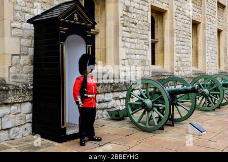 Una Guardia reale e un piccolo cannone all'interno della Torre di Londra, in Inghilterra Foto Stock