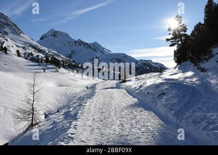 Staller Sattel, Loipe, Langlaufloipe, Langlaufen, Sport, Straße, Verkehrszeichen, Ampel, Kurve, Osttirol, Tirol, Inverno, Jahreszeit, Schnee, EIS, Schn Foto Stock