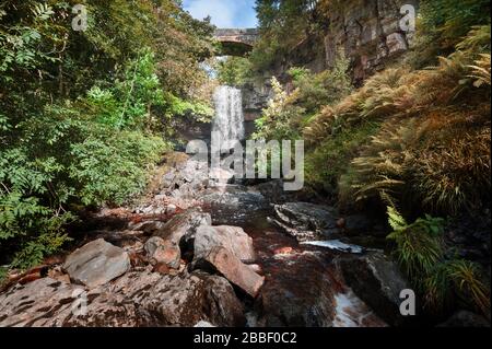 Ponte sulla cascata Ashgill Force nel Nord Pennines vicino ad Alston in Cumbria Foto Stock