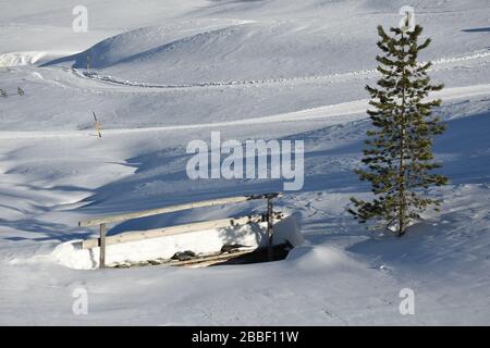 Staller Sattel, Brücke, Weg, verschneit, zugeschneit, Bach, Almbach, Staller Almbach, Osttirol, Tirol, Inverno, Jahreszeit, Schnee, EIS, Schneedecke, W. Foto Stock