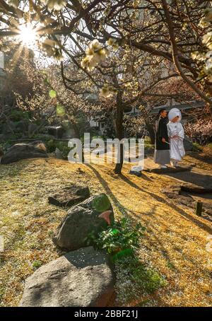 tokyo, giappone - 02 marzo 2020: Tradizionale matrimonio shinto giapponese di una coppia in kimono haori nero per uomini e shiromuku bianco per donne sotto il pl Foto Stock