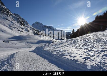 Staller Sattel, Loipe, Langlaufloipe, Langlaufen, Sport, Straße, Verkehrszeichen, Ampel, Kurve, Osttirol, Tirol, Inverno, Jahreszeit, Schnee, EIS, Schn Foto Stock