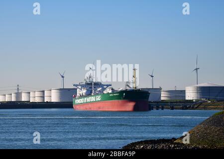 Rotterdam, Paesi Bassi-Marzo 2020: Un Tanker ormeggiato per il petrolio greggio nel porto petrolifero 7th con un'azienda agricola sul retro Foto Stock