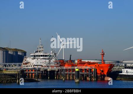 Un Tanker ancorato per prodotti chimici e petroliferi nel porto petrolifero 7th con una fattoria nella parte posteriore Foto Stock