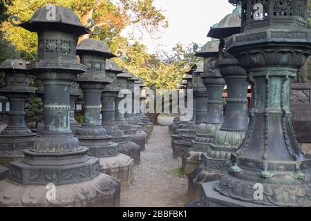 Sentiero delle lanterne in pietra a Nikko, Giappone Foto Stock