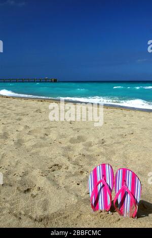 Infradito rosa caldo sulla spiaggia Foto Stock