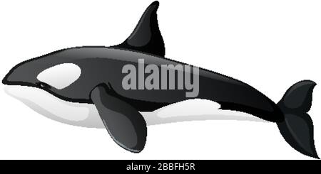 Un orche su sfondo bianco illustrazione Illustrazione Vettoriale