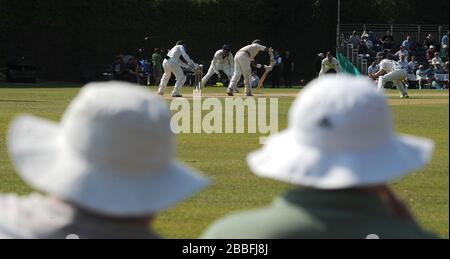 Spettatori che guardano l'azione tra Surrey e Warwickshire. Foto Stock