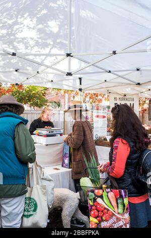 Great Barrington, Massachusetts, Usa - 26 Ottobre 2019: Great Barrington Farmer'S Market Foto Stock