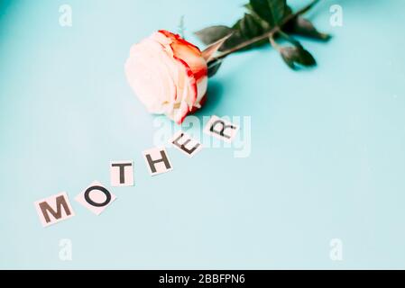 rosa per madre, lettere madre su sfondo blu Foto Stock