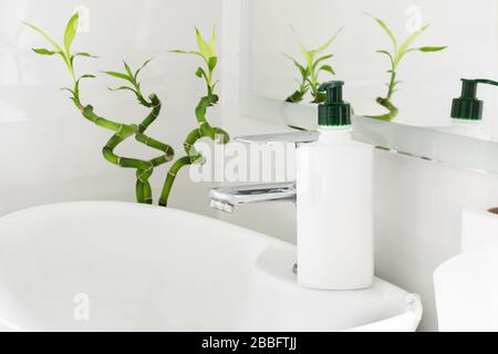 Bottiglia di sapone e rotolo di tovagliolo di carta sul lavello in bianco bagno moderno interno. Concetto di prevenzione delle infezioni batteriche. Foto Stock