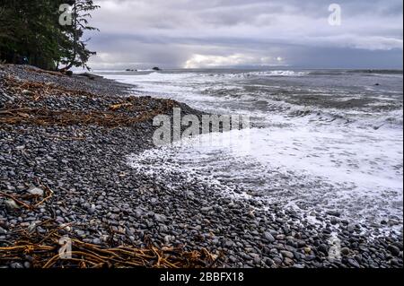 Sombrio spiaggia lungo il Juan de Fuca Trail, Isola di Vancouver, BC Canada Foto Stock