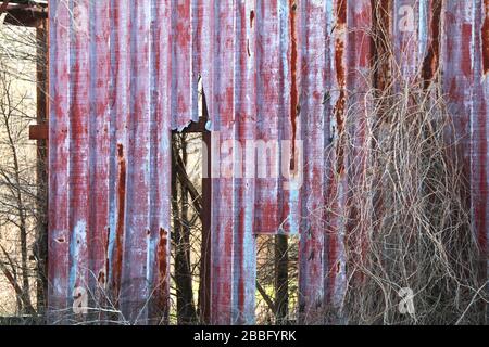 un vecchio magazzino metallico rosso edificio rotto e cresciuto eccessivamente Foto Stock