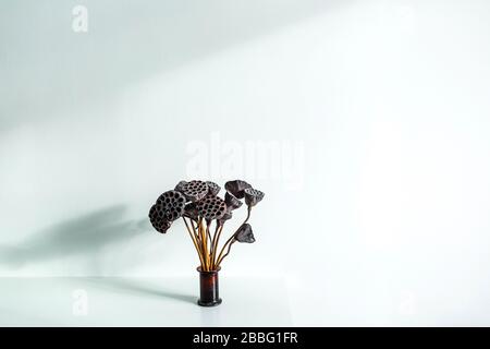 Vaso di fiori con giglio secco su sfondo bianco tavolo. Stile minimale nella decorazione interna. Concetto contemporaneo. Bella luce solare. Luogo vuoto per testo o segno. Foto Stock