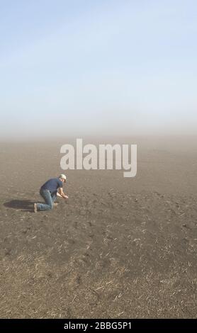 Un coltivatore in un campo colpito dalla siccità con il suolo che soffia causando erosione, Tiger Hills, Manitoba, Canada Foto Stock