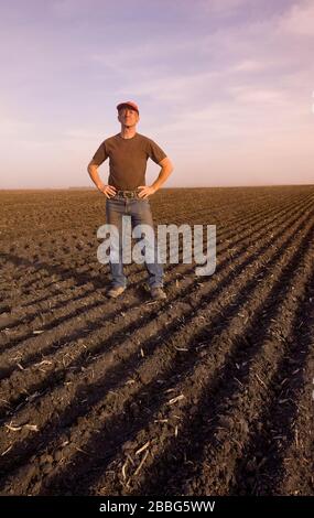 Un coltivatore in un campo colpito dalla siccità con la soffiatura del suolo superiore che causa l'erosione del suolo, Tiger Hills, Manitoba, Canada Foto Stock