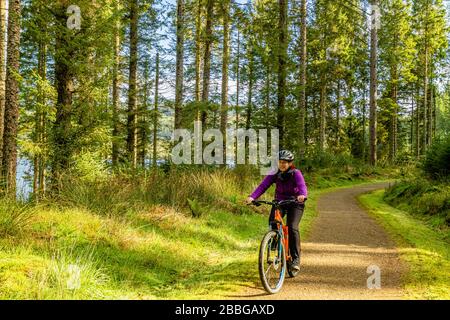 Un ciclista sul Lakeside Way, un percorso circolare di 26 miglia in bicicletta intorno a Kielder Water, Kielder, Northumberland, Regno Unito. Ottobre 2018. Foto Stock