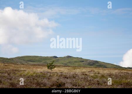 Pen y Castell dal sentiero che conduce a Llyn Eigiau Serbatoio sotto Carnedd Llewelyn sopra la Conwy Valley Snowdonia North Galles Foto Stock