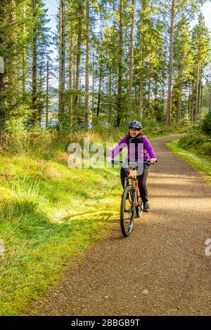 Un ciclista sul Lakeside Way, un percorso circolare di 26 miglia in bicicletta intorno a Kielder Water, Kielder, Northumberland, Regno Unito. Ottobre 2018. Foto Stock