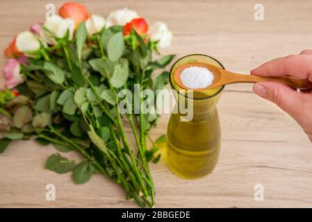 Persona che aggiunge alimento bianco del fiore polvere all'interno vaso del fiore tagliato in modo da i fiori tagliati durano più lungamente freschi. Foto Stock